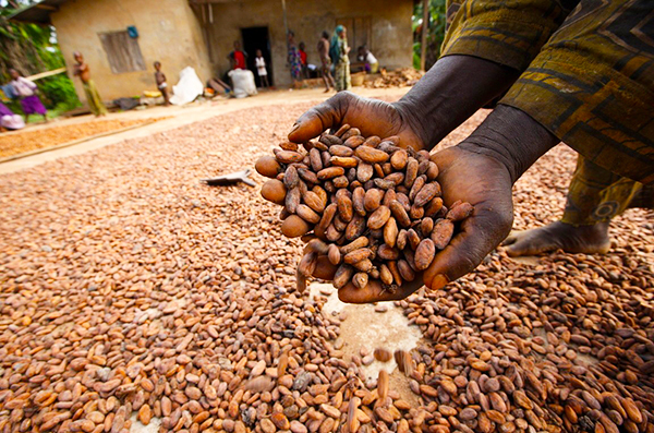 How to Start an Export Business in Nigeria (Step-by-Step Guide for 2026)